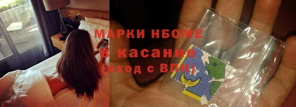прущие грибы Абдулино