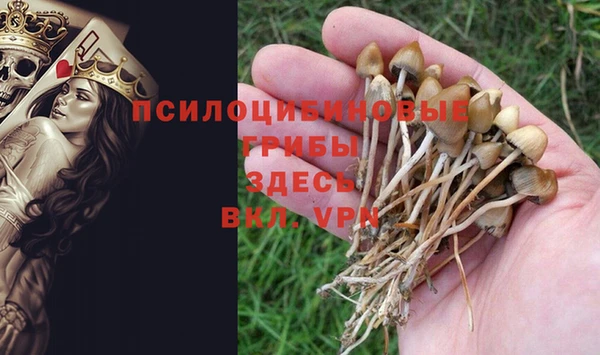 меф Алексеевка