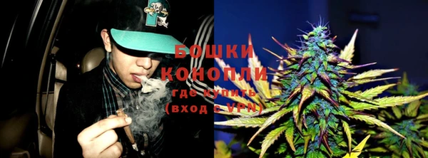 индика Абаза