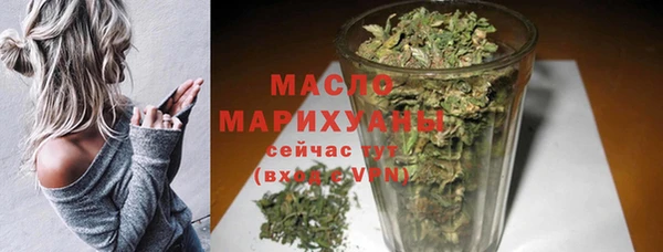 индика Абаза